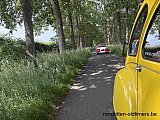 Zandlemig Vlaanderen